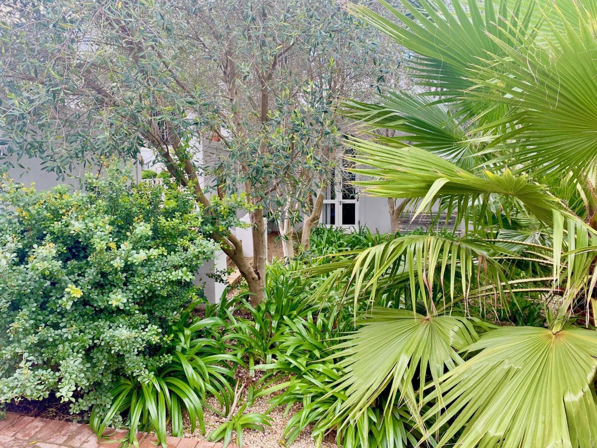 1 Royal Street Guesthouse Riebeek-Kasteel Eksteriør billede