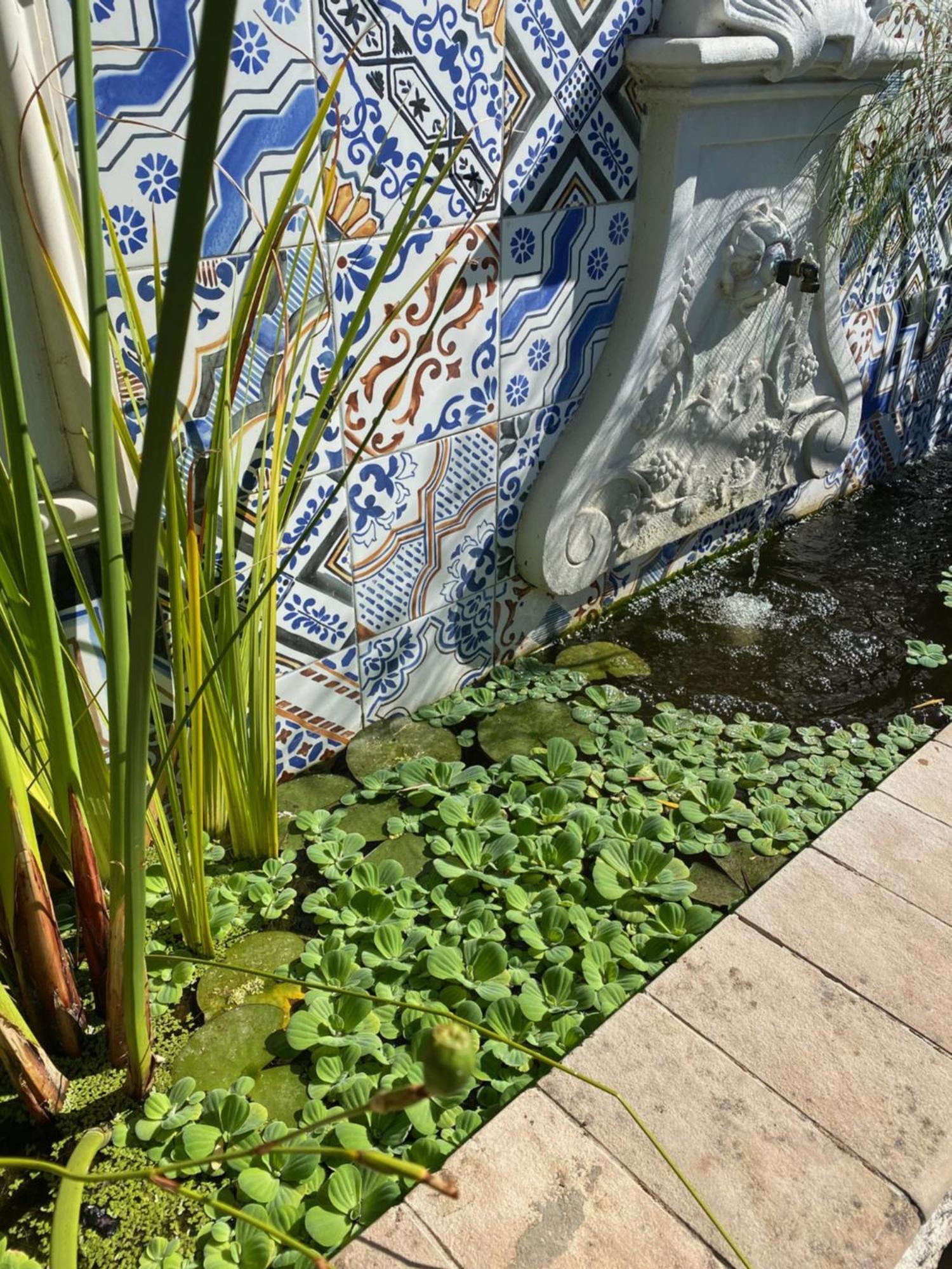 1 Royal Street Guesthouse Riebeek-Kasteel Eksteriør billede