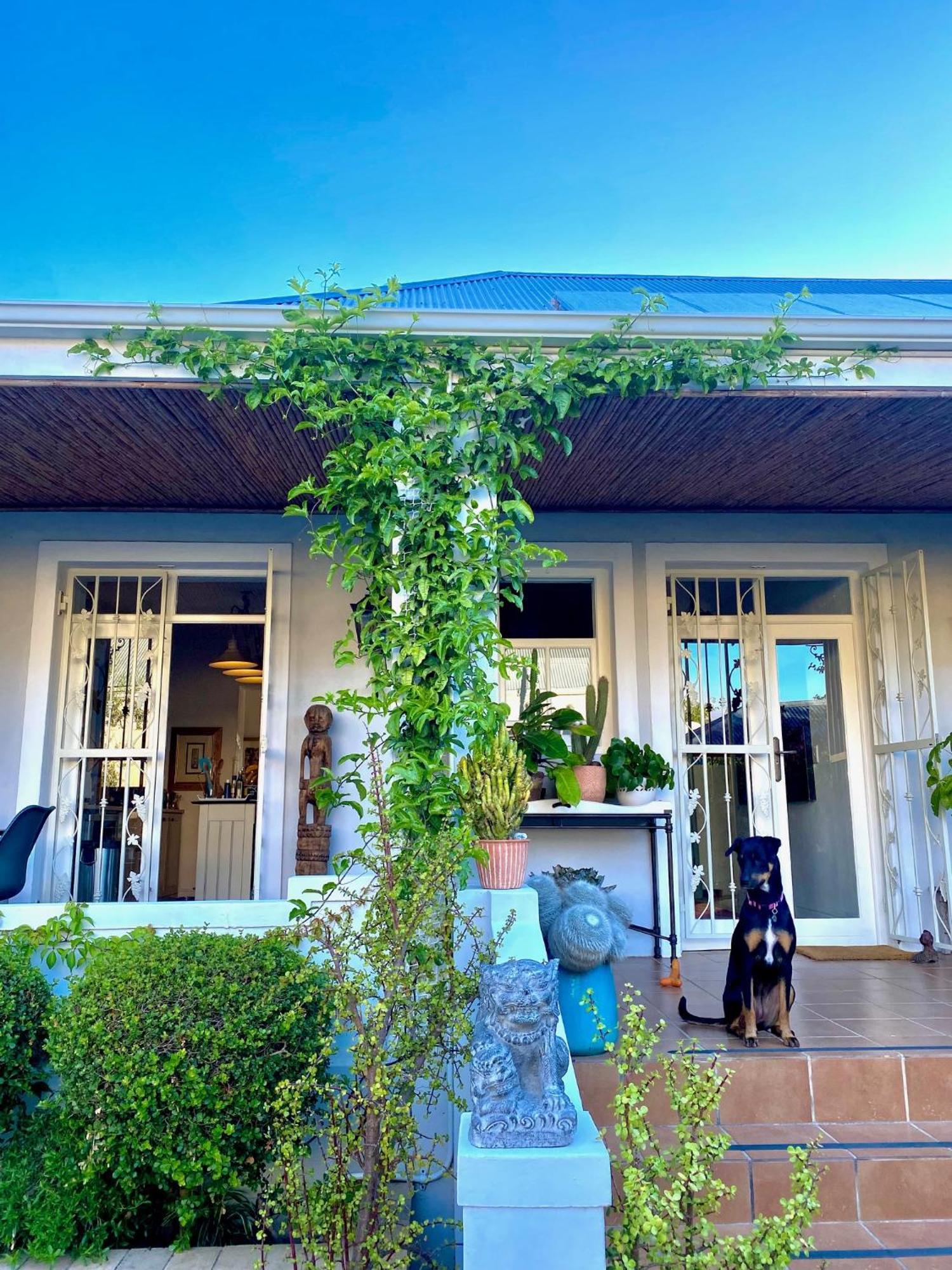 1 Royal Street Guesthouse Riebeek-Kasteel Eksteriør billede