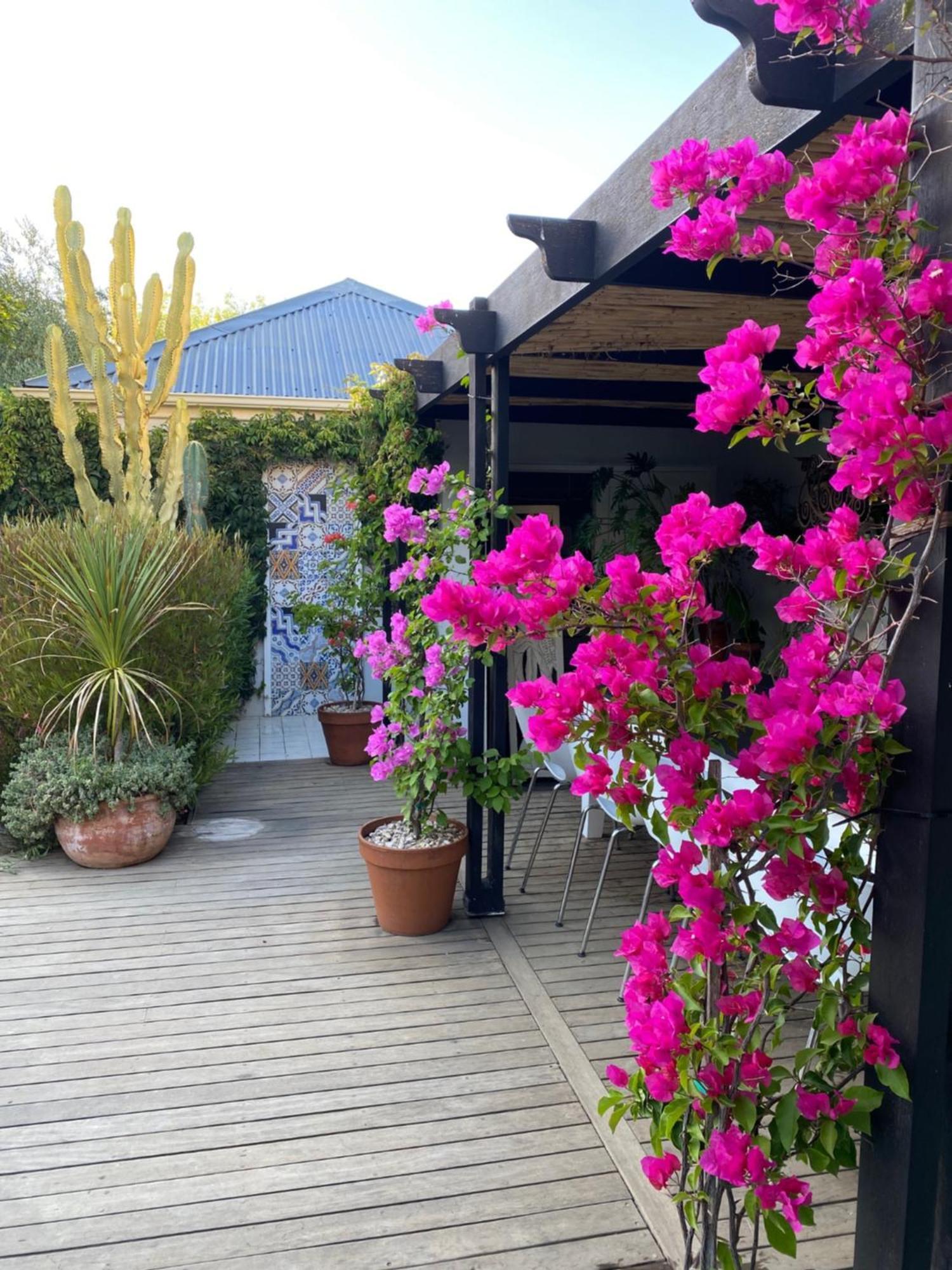 1 Royal Street Guesthouse Riebeek-Kasteel Eksteriør billede