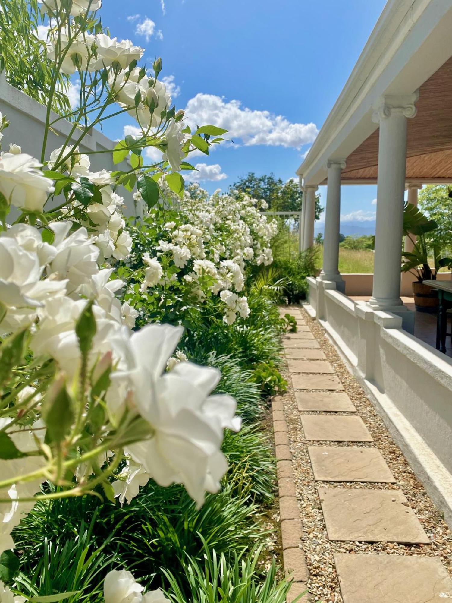 1 Royal Street Guesthouse Riebeek-Kasteel Eksteriør billede