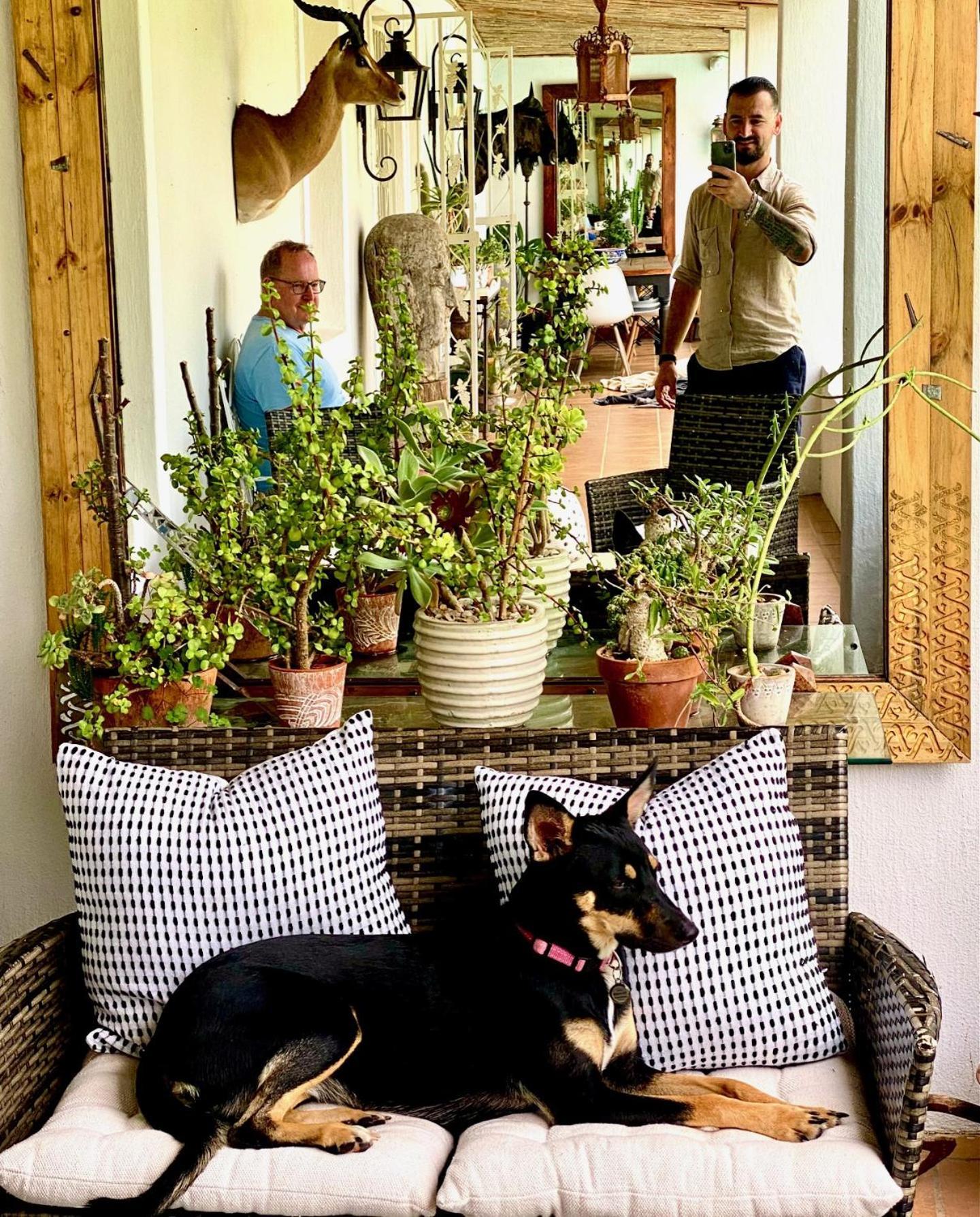 1 Royal Street Guesthouse Riebeek-Kasteel Eksteriør billede